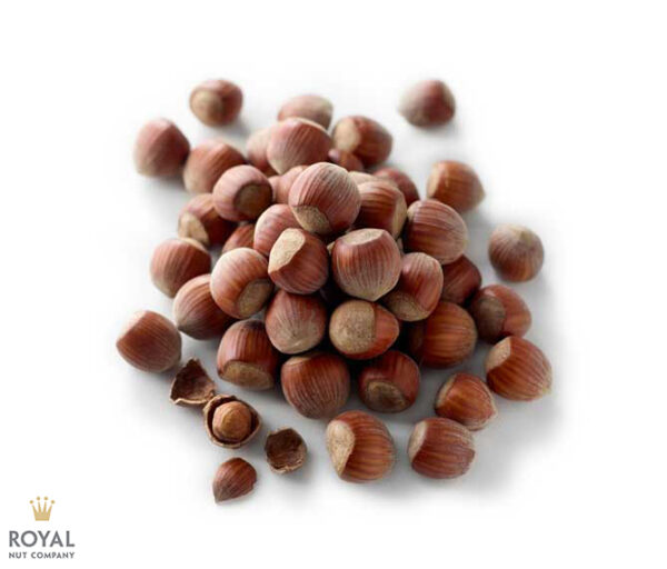 A white background image with a pile of brown Hazelnut in Shell