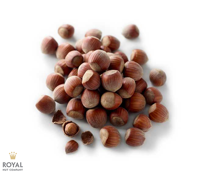 Hazelnut in Shell A white background image with a pile of brown Hazelnut in Shell