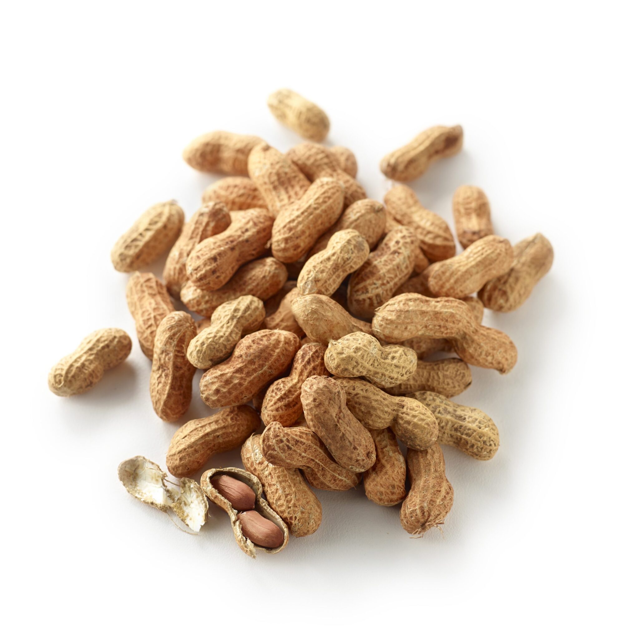 Australian Roasted Peanut in Shell