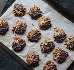 cranberry-florentines