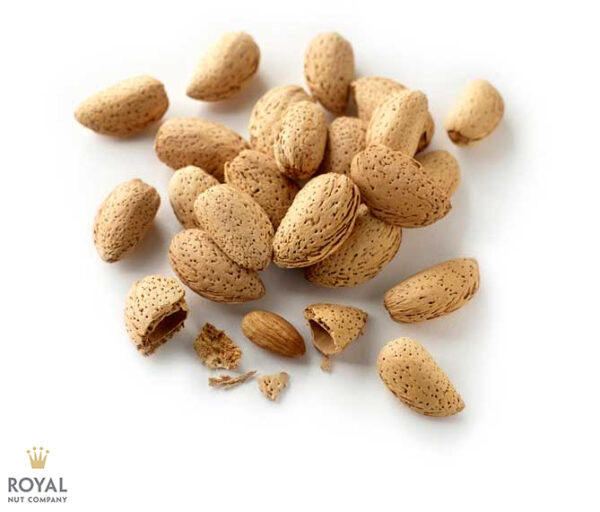 White background image with a pile of brown Almond in shell